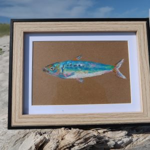 Sardine, pastels gras