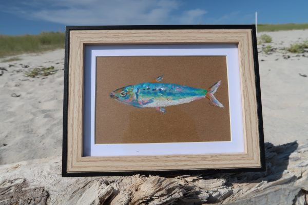 Sardine, pastels gras