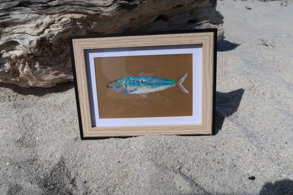 Sardine, pastels gras – Image 2
