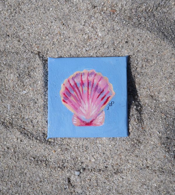 Coquille saint-jacques, peinture – Image 2