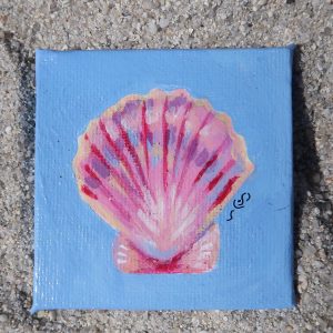 Coquille saint-jacques, peinture