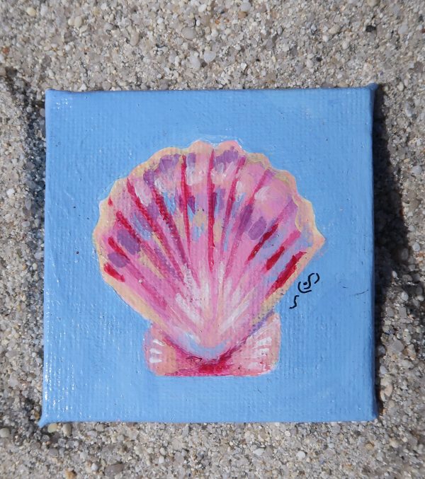 Coquille saint-jacques, peinture