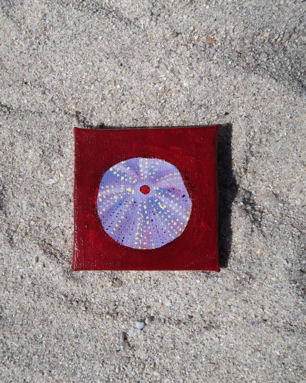 Oursin, peinture – Image 2