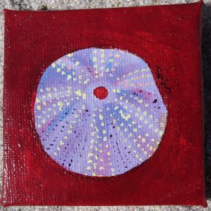 Oursin, peinture
