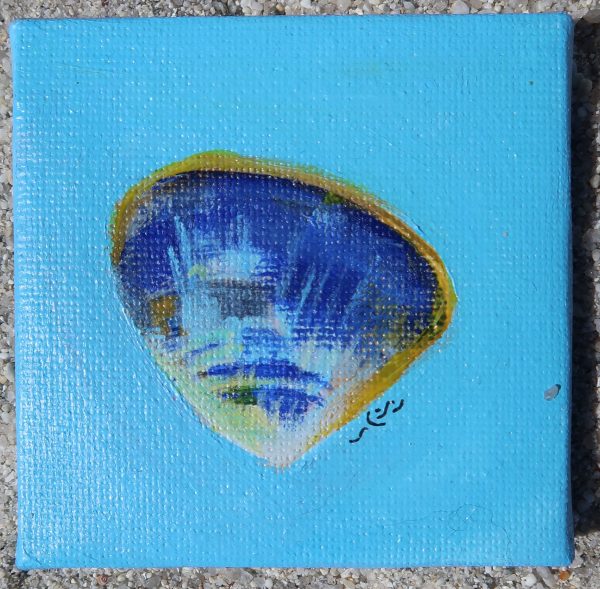 Palourde, peinture