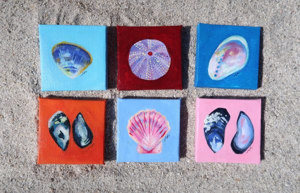 Coquille saint-jacques, peinture – Image 3