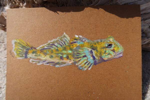 Gobille, pastels gras – Image 2