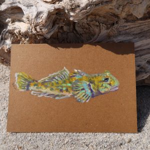 Gobille, pastels gras