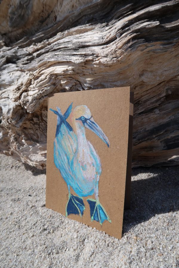 Fou de bassan, pastel gras – Image 3
