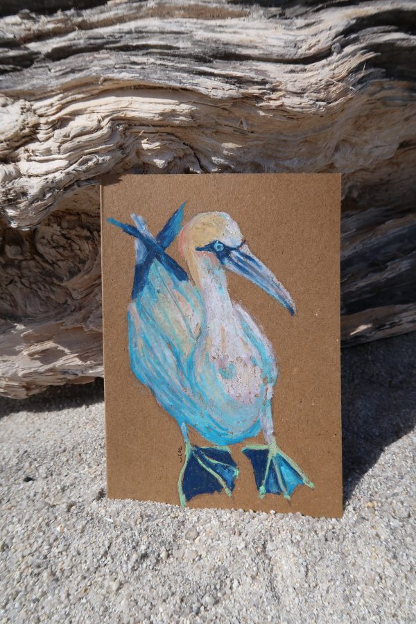 Fou de bassan, pastel gras