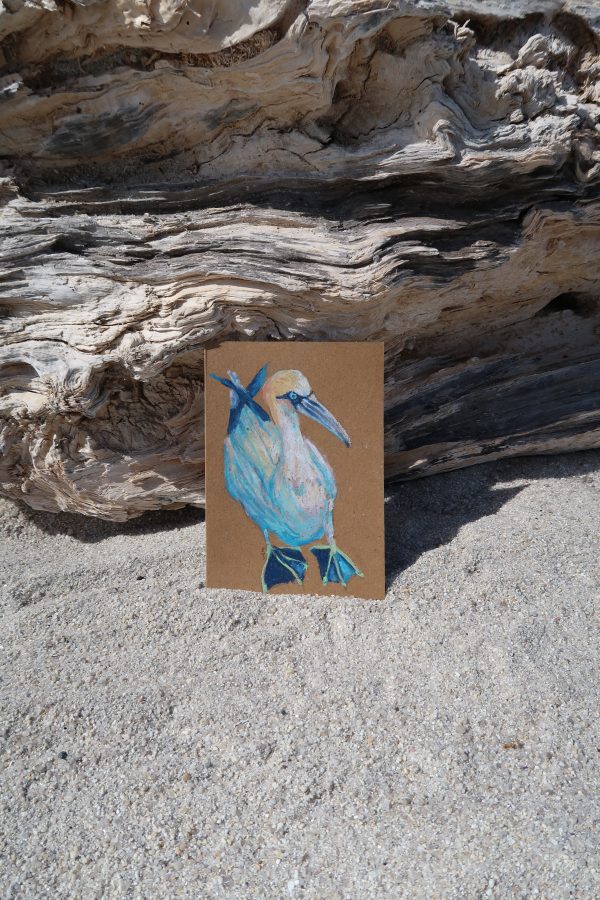 Fou de bassan, pastel gras – Image 2