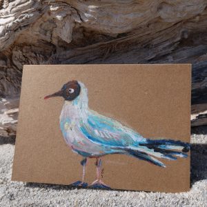 Mouette rieuse, pastel gras