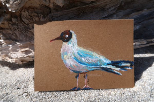 Mouette rieuse, pastel gras – Image 3