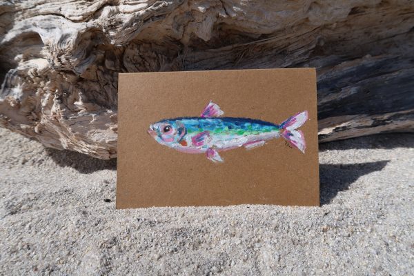 Sardine n°2, pastel gras