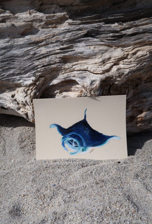 Raie manta, pastel gras – Image 2