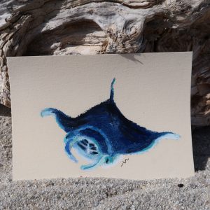 Raie manta, pastel gras