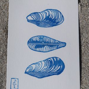 Mytilida, linogravure