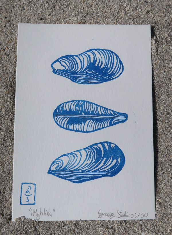 Mytilida, linogravure